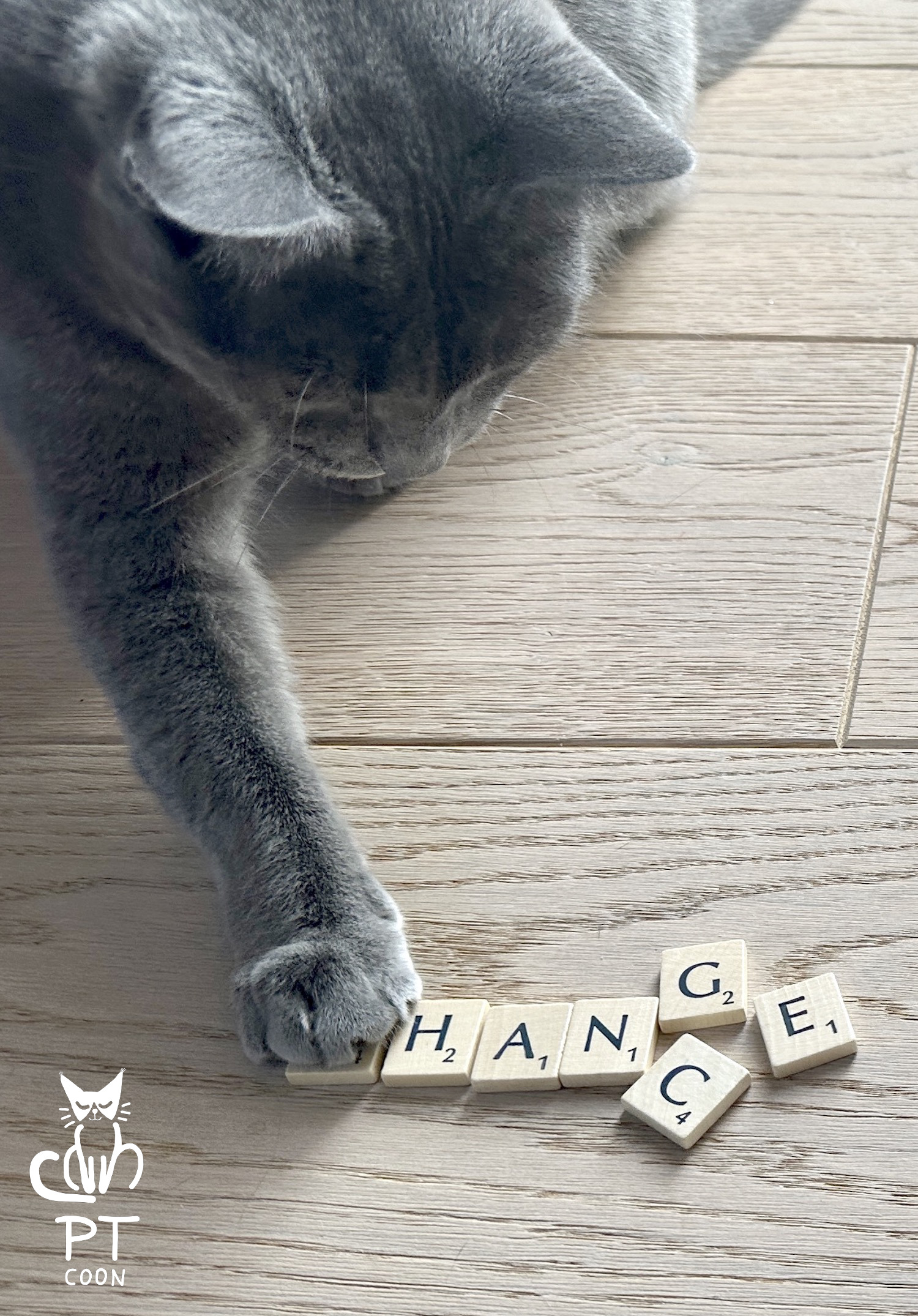 Change – Chance