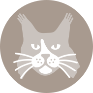 PT, der Maine-Coon-Kater und Markenbotschafter